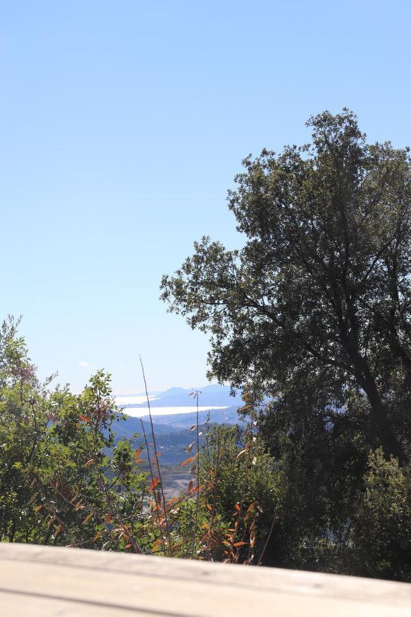 La Vela Bed and Breakfast Peille Buitenkant foto